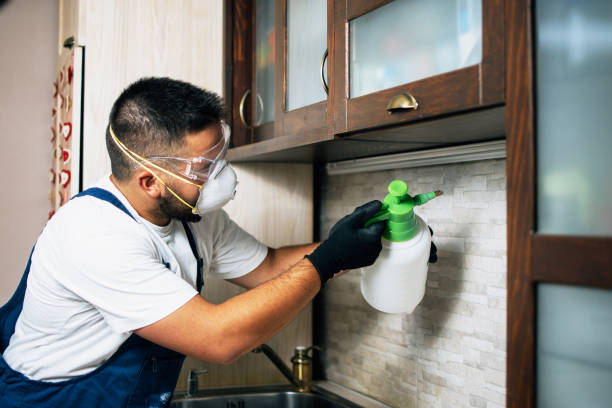 Best Pest Prevention Services  in Royston, GA