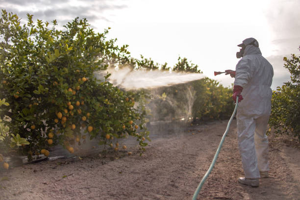 Pest Control for Restaurants in Royston, GA