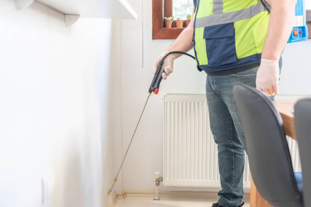 Best Flea Control Services  in Royston, GA