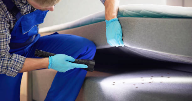 Best Commercial Pest Control Services  in Royston, GA