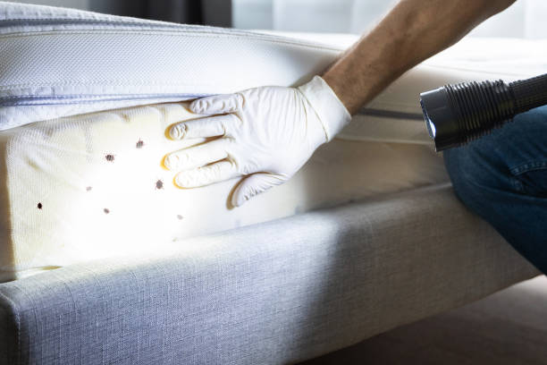 Best Best Pest Control Companies  in Royston, GA
