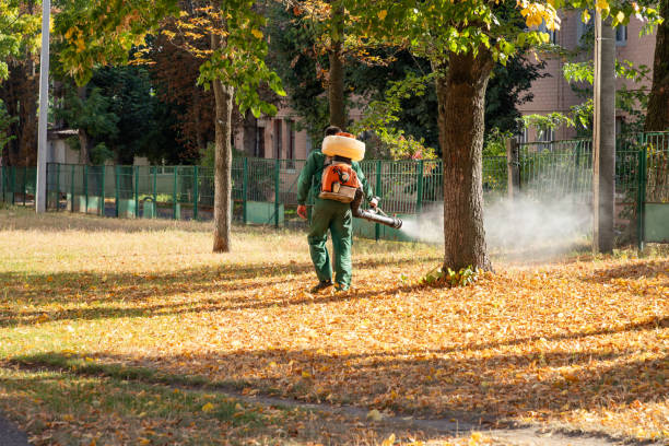Pest Control for Restaurants in Royston, GA