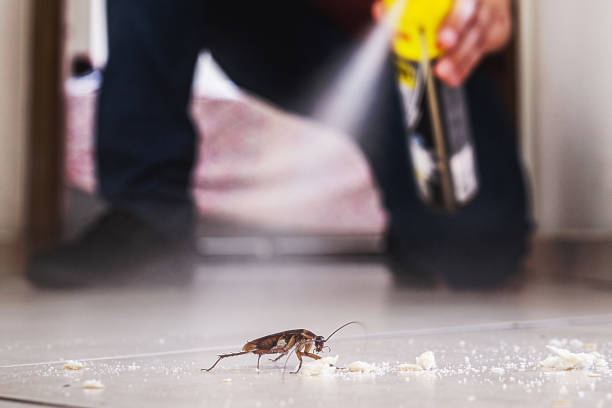 Best Exterminator Services  in Royston, GA