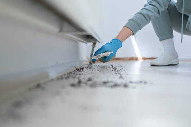 Best Local Pest Control Services  in Royston, GA